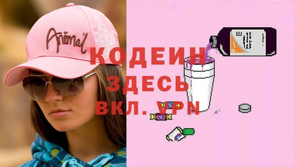 соль ск Пестово