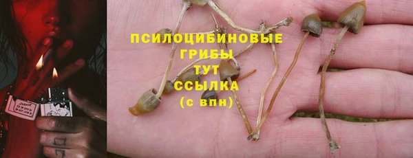 соль ск Пестово