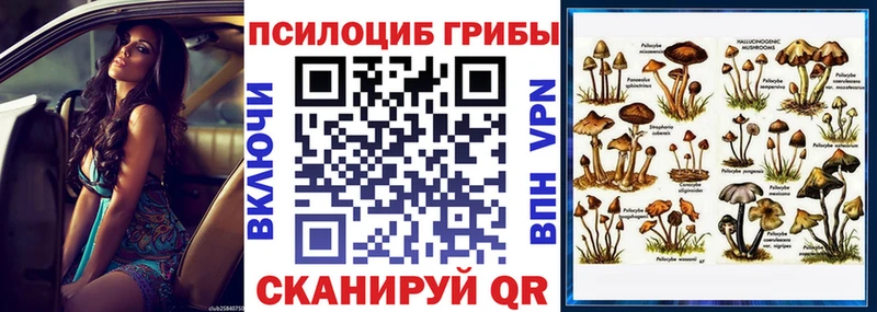 гидра зеркало  Осташков  Псилоцибиновые грибы Psilocybine cubensis  купить закладку 